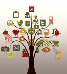 7 tips of Facebook and Instagram Ads to Grow Your Business Online